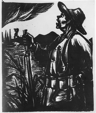 ս����ľ�����˲�����ǻ�