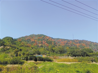 ��˵���ݹŵ���֮����