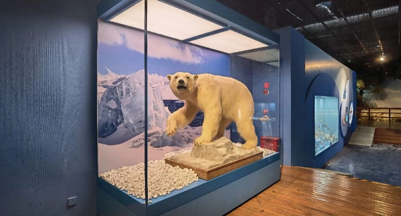 ���ݲ���ݶ���3��31�ջָ����ţ��չ�200�조��������ò